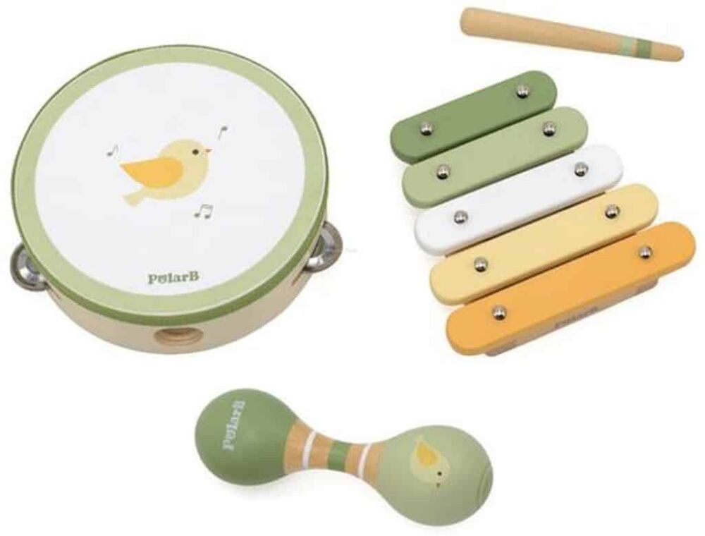 סט כלי נגינה ברדי הציפור POLAR